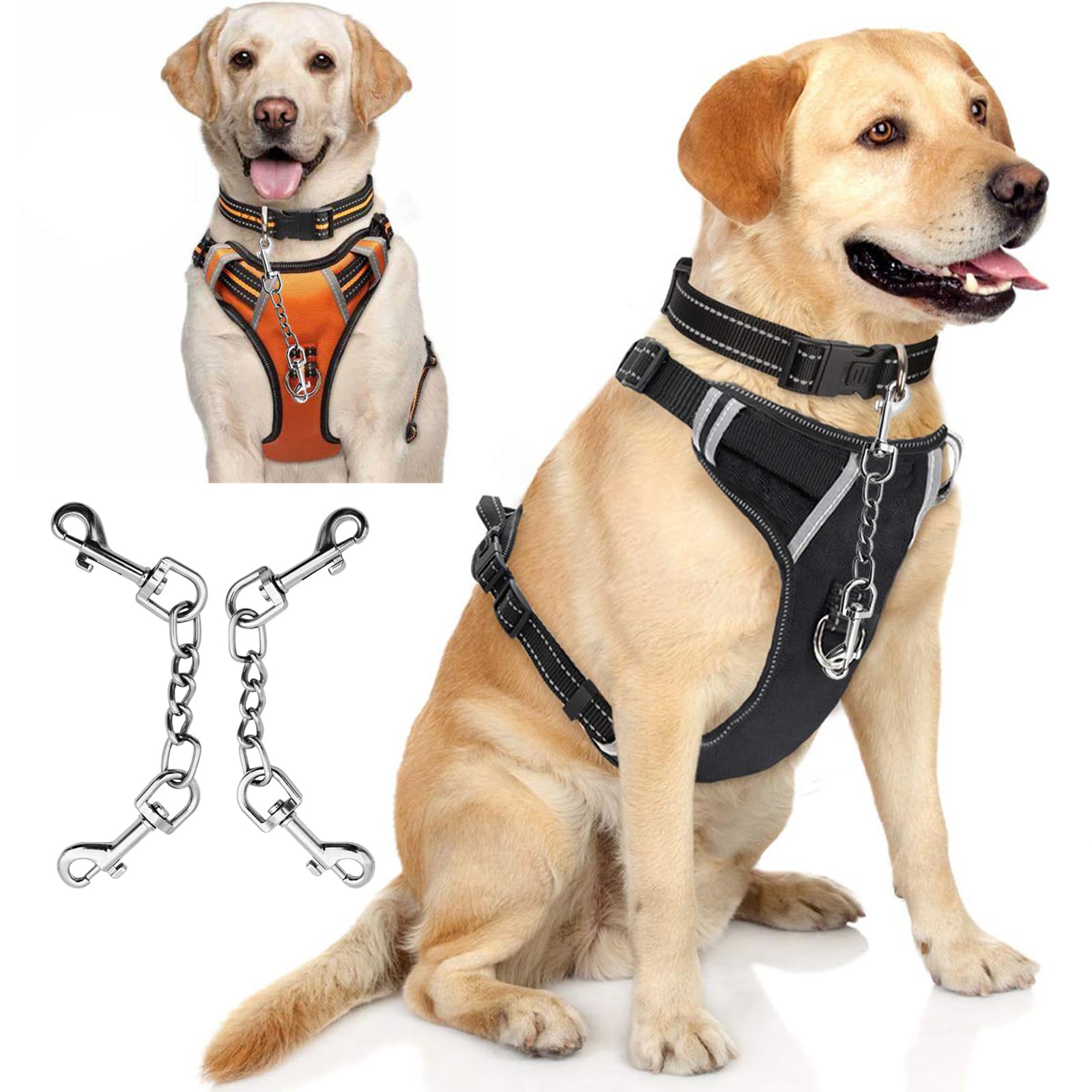 Diseño práctico de AncBace para arneses y distintos collares.