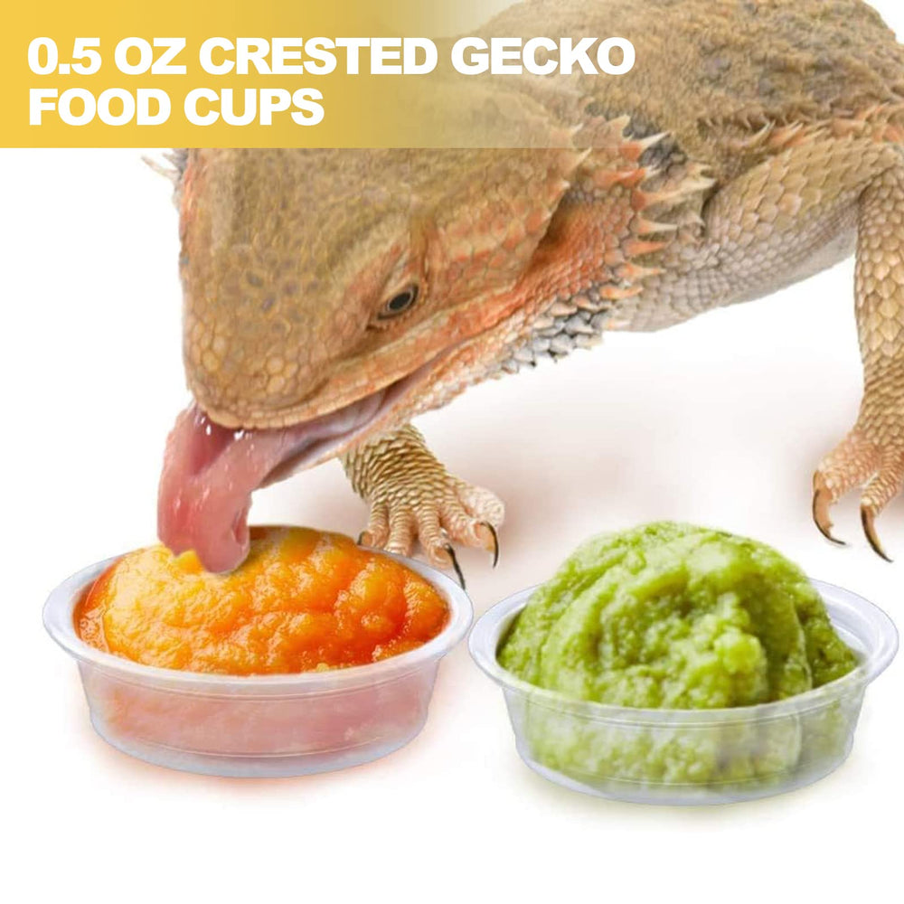 ANCKNE taza multiuso para gecko crestado, útil en racks de alimentación y clasificación