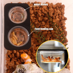 ANCKNE taza pequeña para reptiles gecko crestado, perfecta para porciones controladas