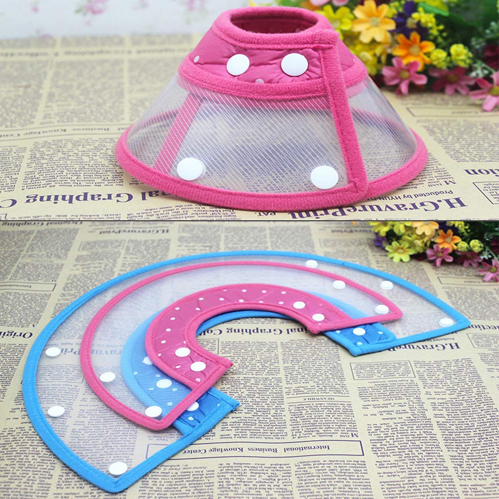 Andiker cono para gatos y perros, diseño multi-especie práctico.