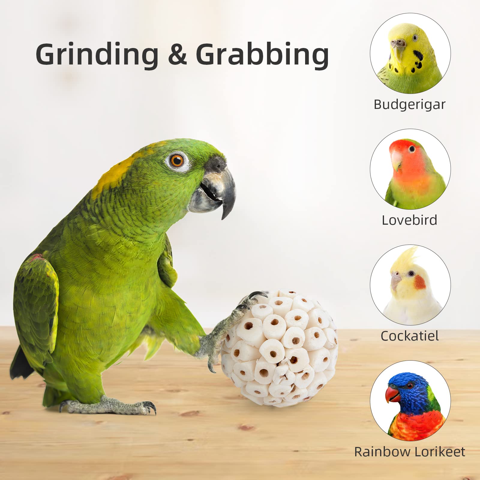 andwe Bola Sola: opción destructible para aves que promueve actividad