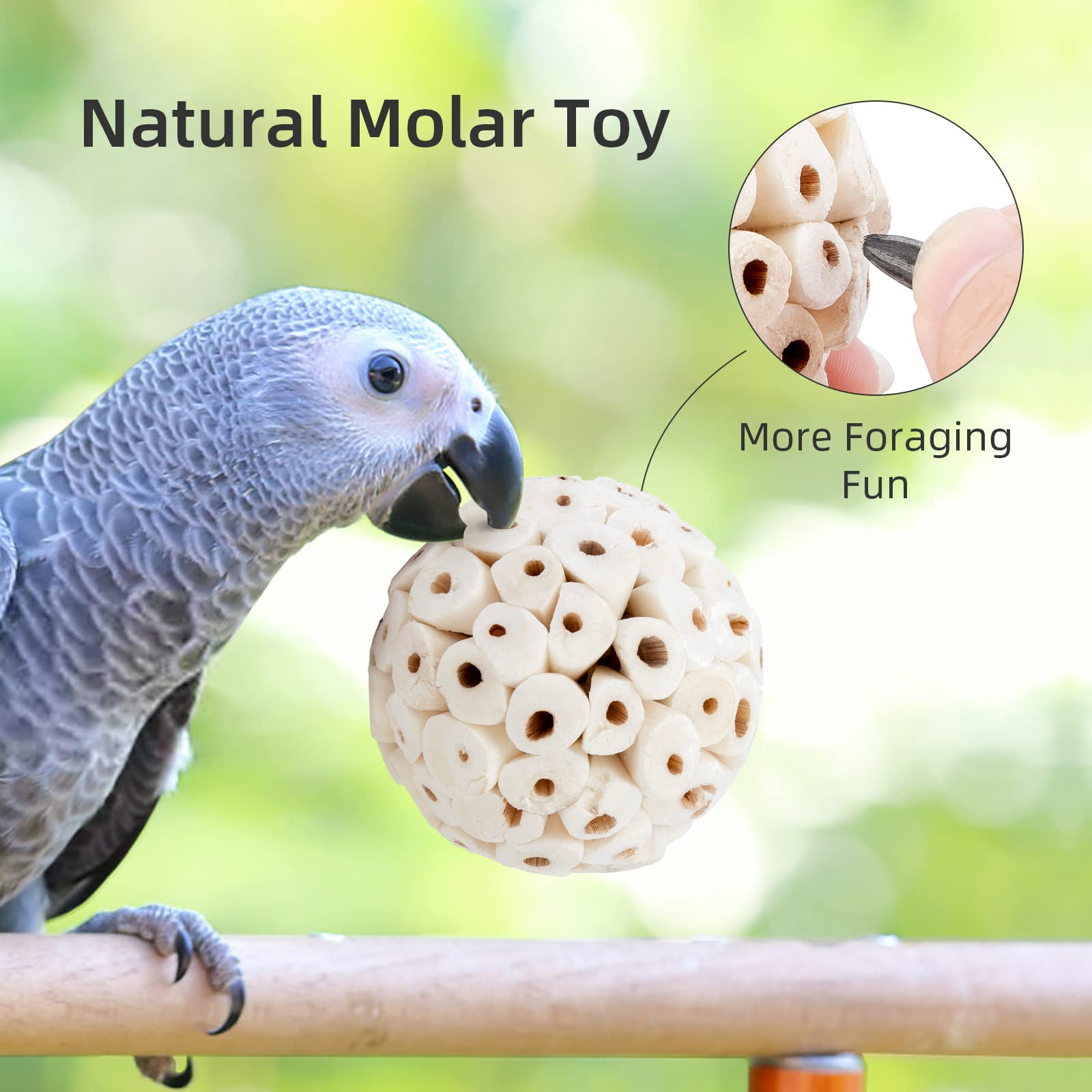 andwe Bolas Sola: paquete de 6 bolas útiles para aves de todos los tamaños
