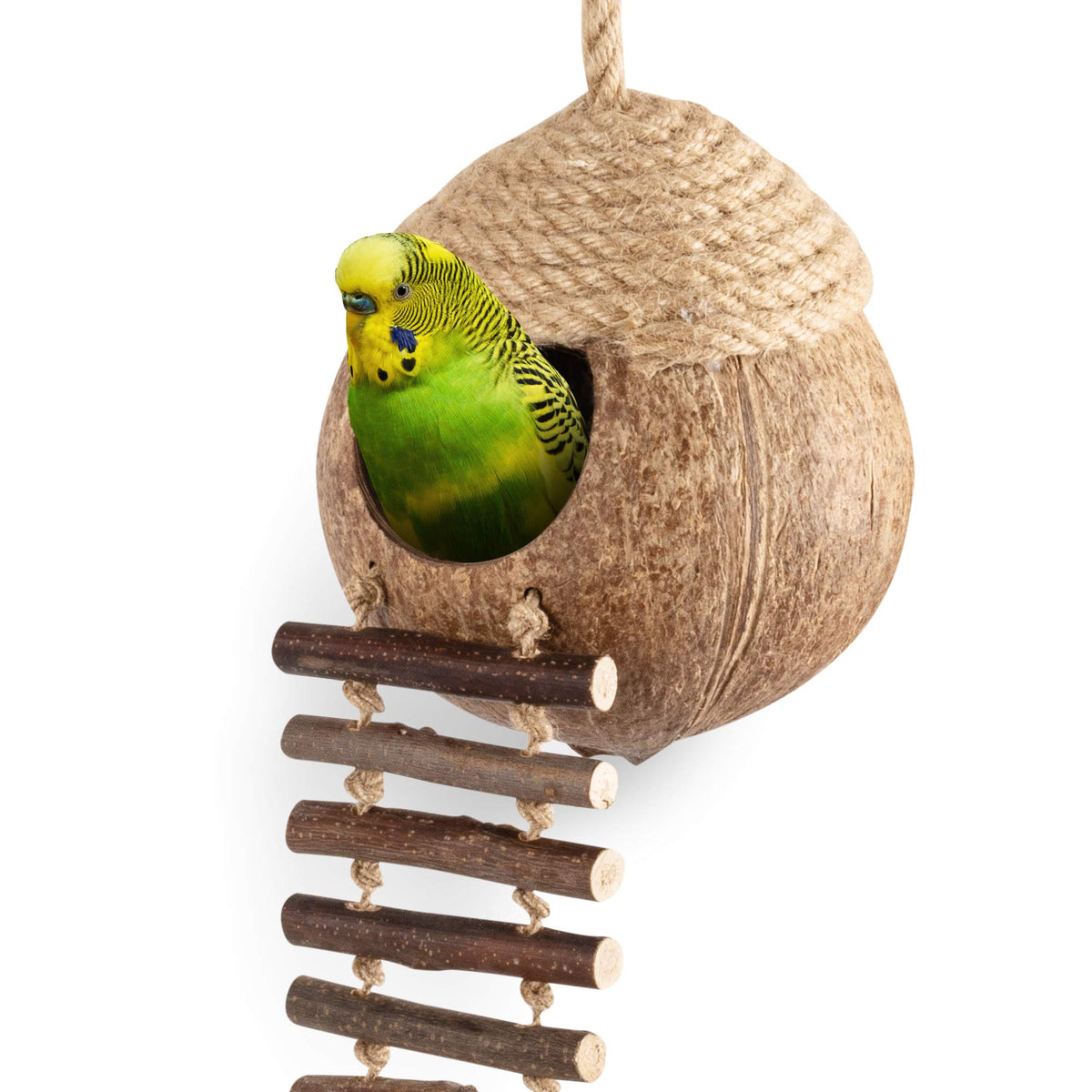 andwe casita nido coco con escalera, refugio cómodo para aves