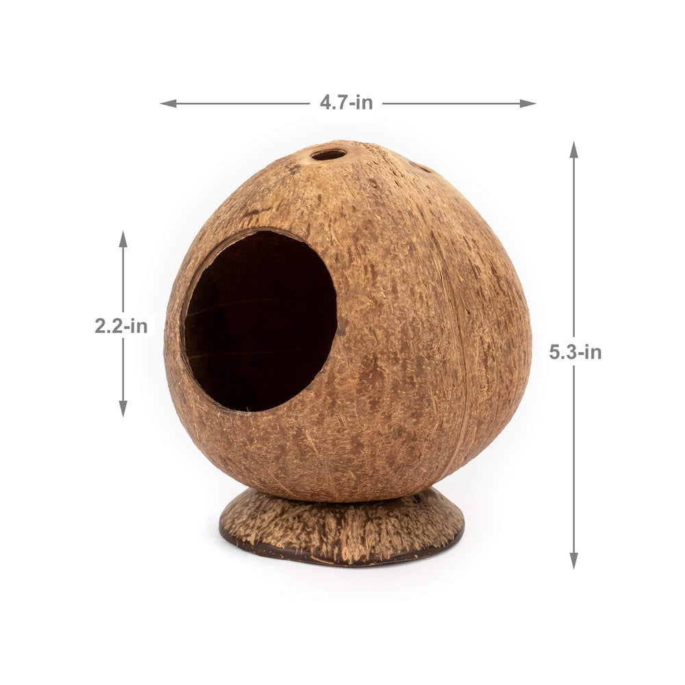 andwe Coconut Hut: cama suave dentro de la casita para descanso cómodo.