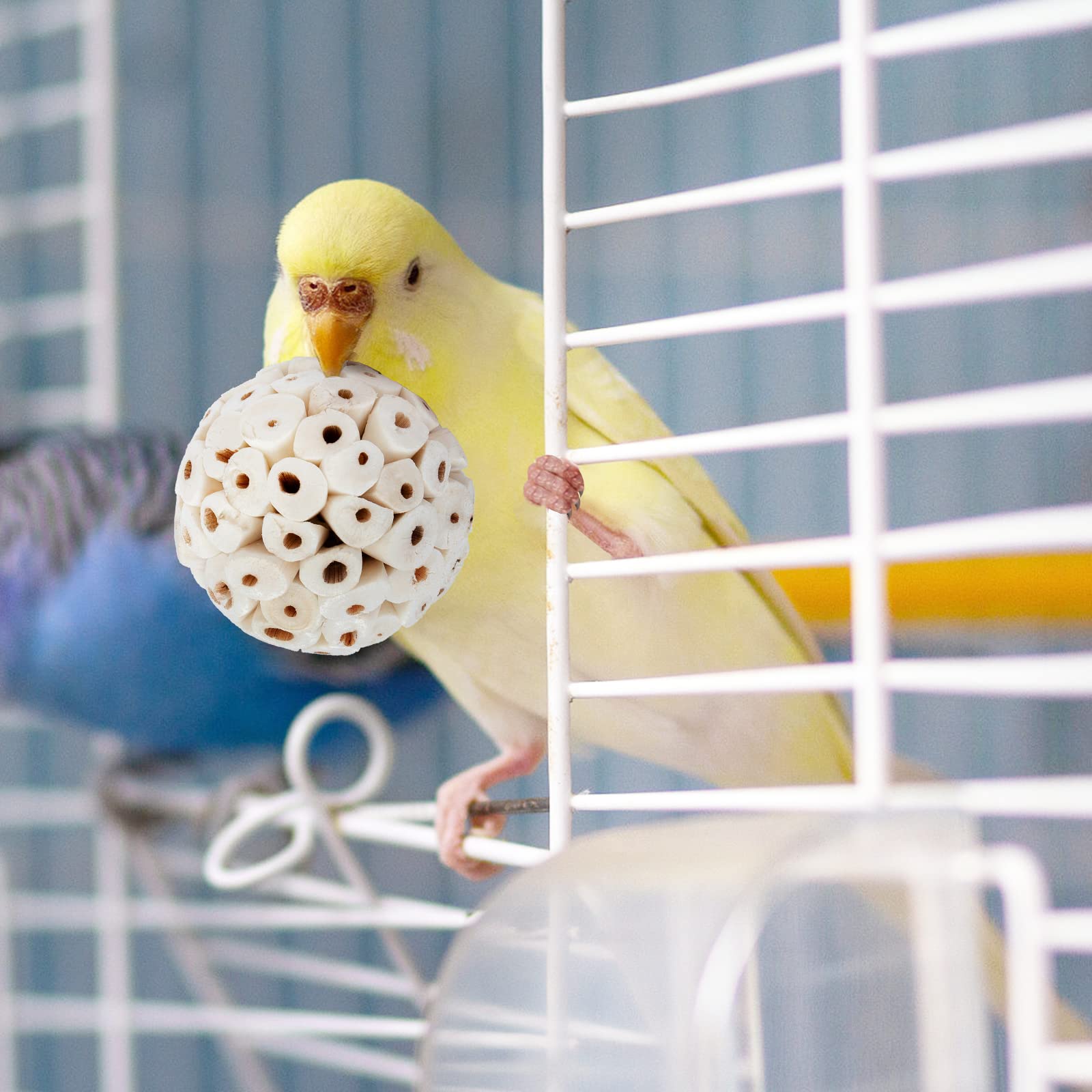 andwe Bola Sola: juguete ligero y fácil de agarrar para aves pequeñas
