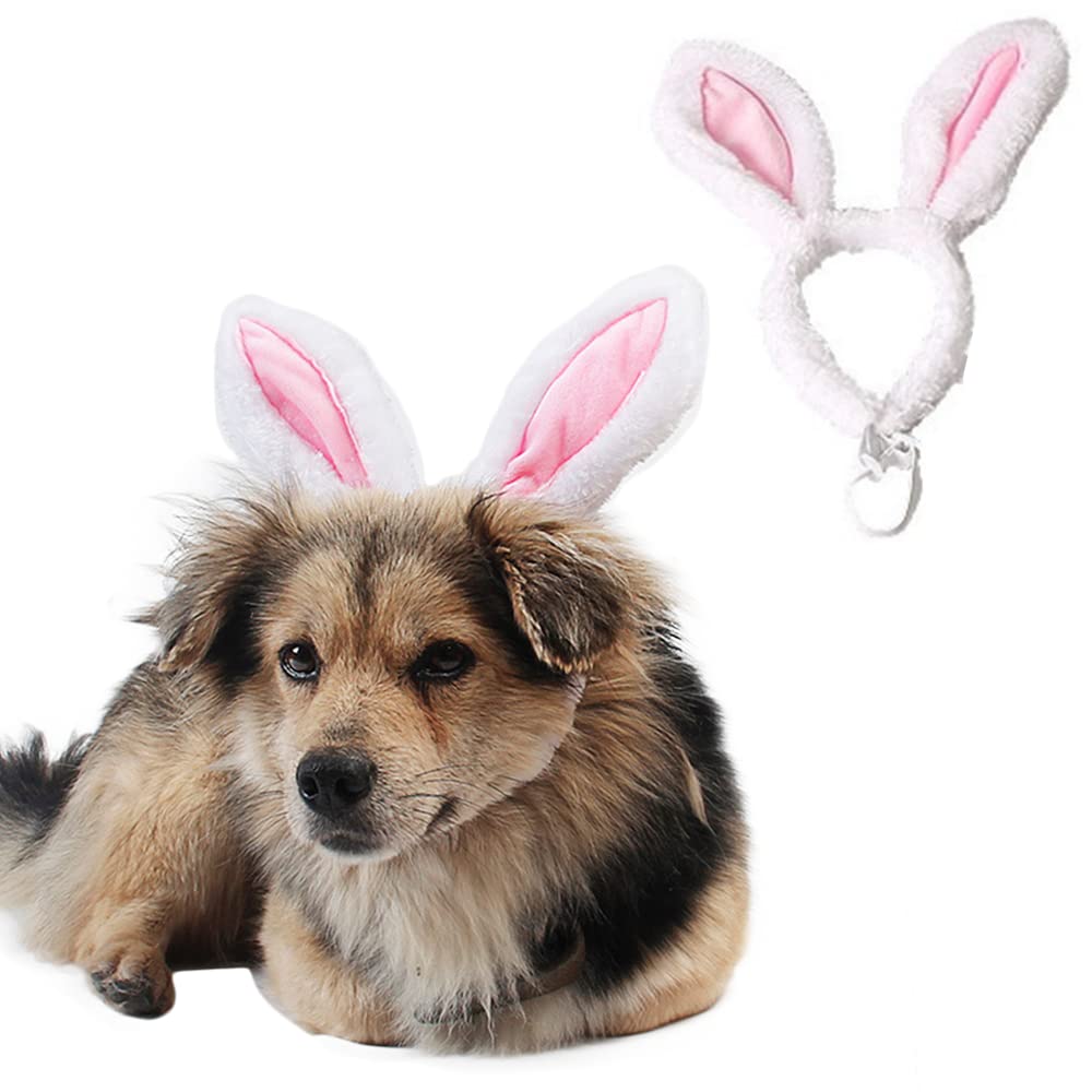 ANIAC diadema de conejo para perro, tamaño pequeño, ideal para fotos.