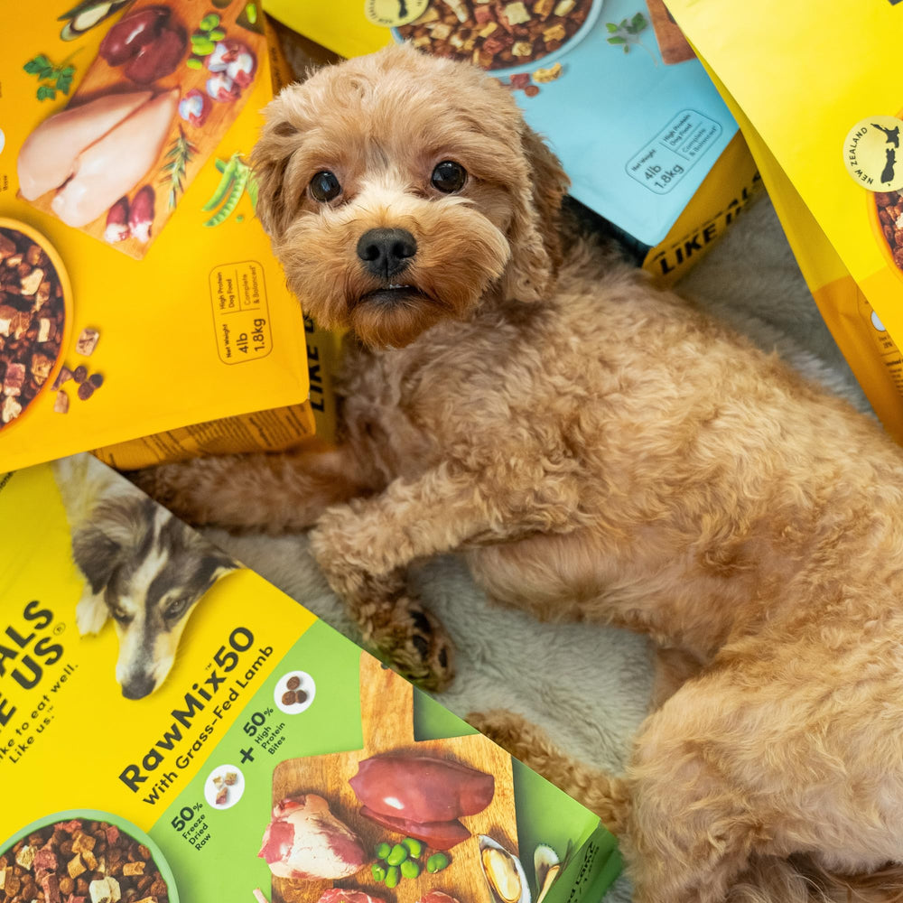 Animals Like Us Mix50 proceso de liofilización que preserva sabor y nutrición.