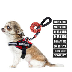 Arnés Animire para perro de servicio visto desde el frente, cómodo y estable.