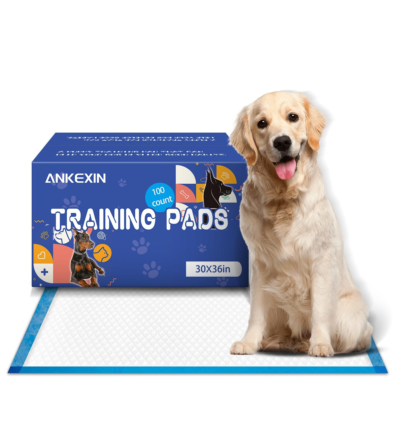 ANKEXIN almohadilla entrenamiento perro xl 30x36 con absorcion rapida para cachorros.