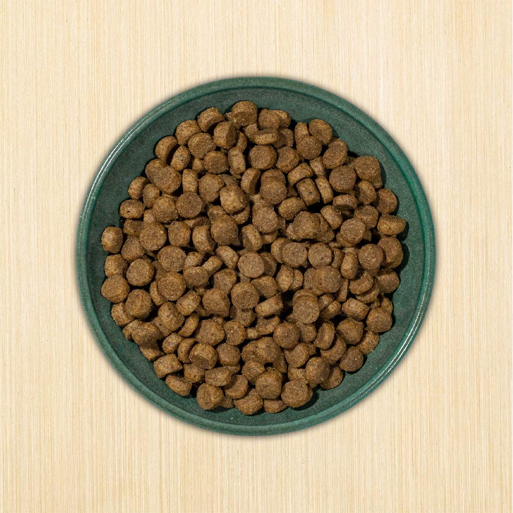 Annamaet Original Encore, ideal para perros activos durante el día.