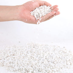 Anothera galets cactus blanc 1/4 pouce pour drainage efficace et esthétique.