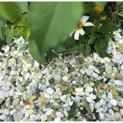 Galet Jade Anothera pour aquarium, texture naturelle et stabilisante.