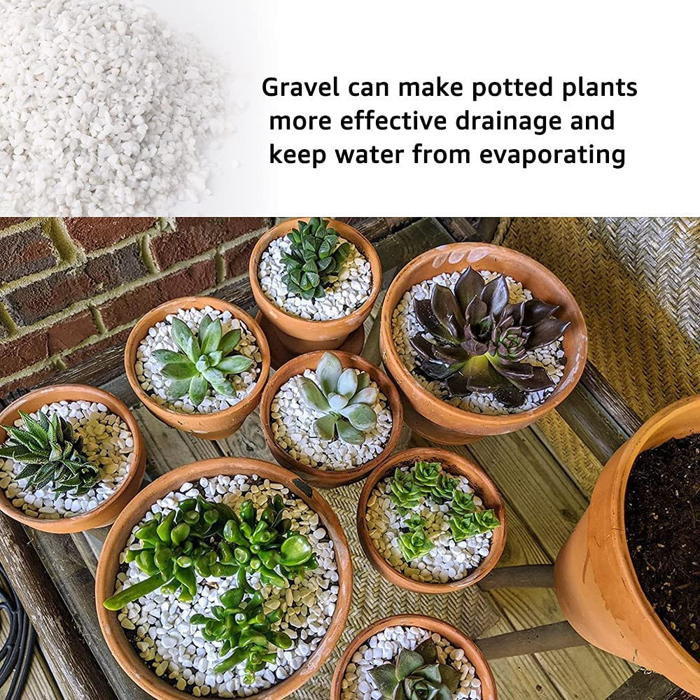 Anothera pierres décoratives petites pour terrariums, surfaces brillantes et faciles à nettoyer.