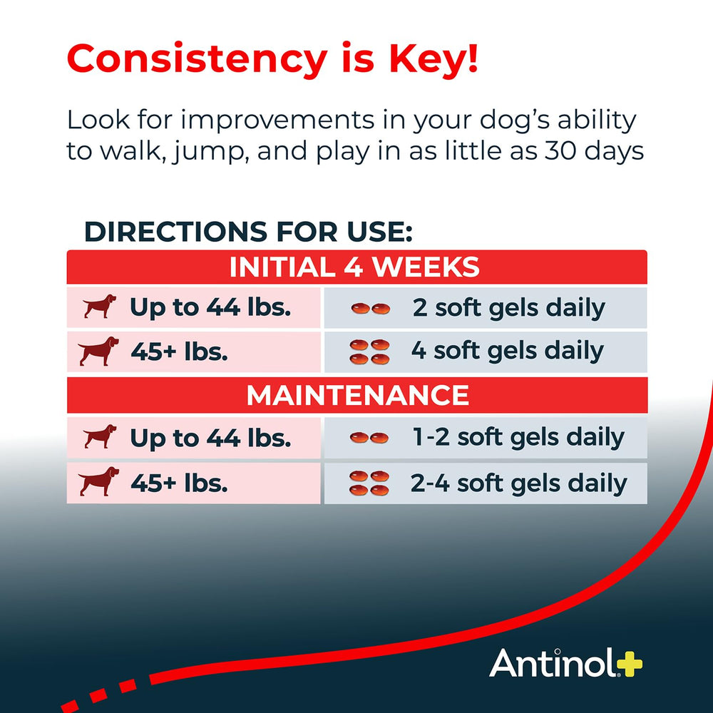 Antinol Plus: envase frontal mostrando la presentación de 60-90 cápsulas para perros pequeños.