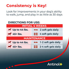 Antinol Plus: envase frontal mostrando la presentación de 60-90 cápsulas para perros pequeños.