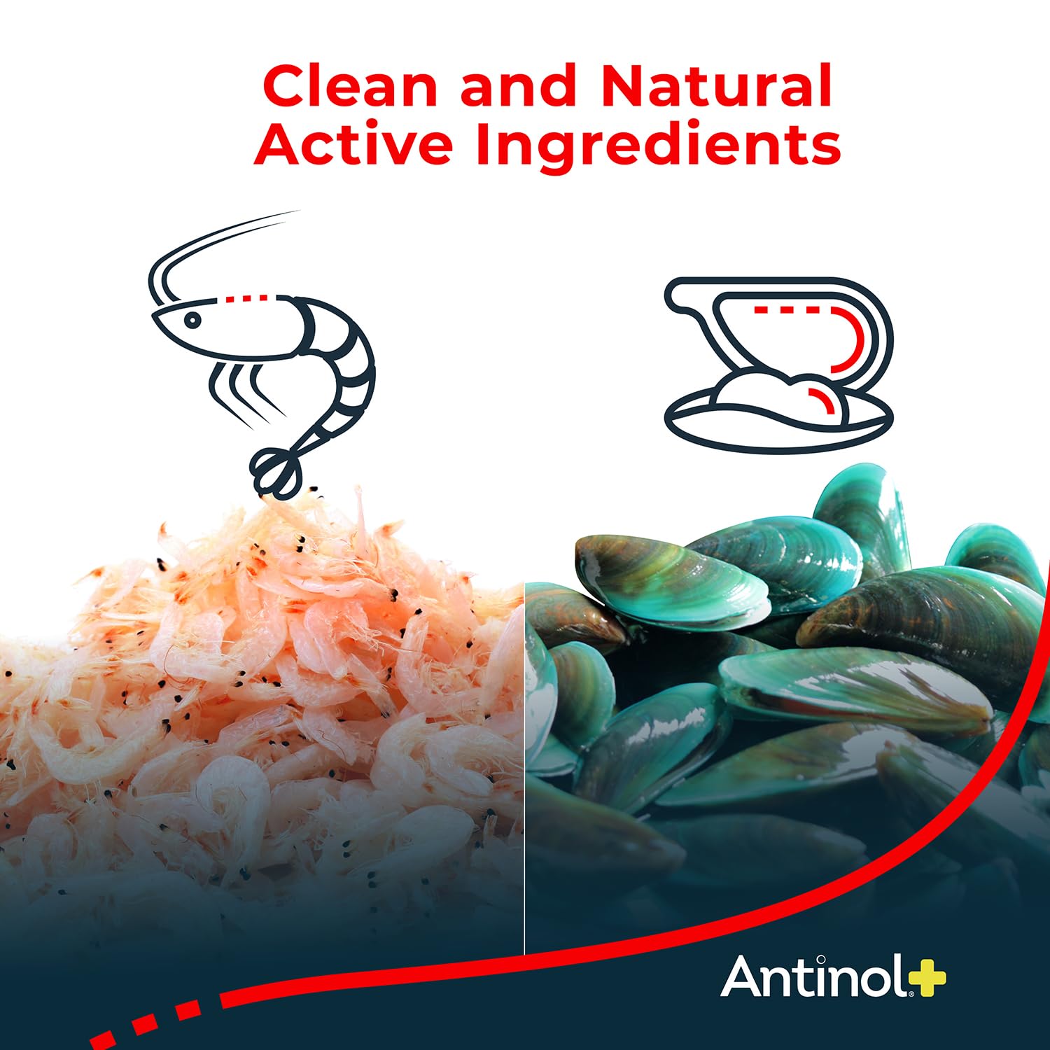 Antinol Plus: empaque lateral destacando mezcla marina de aceite de mejillón verde.