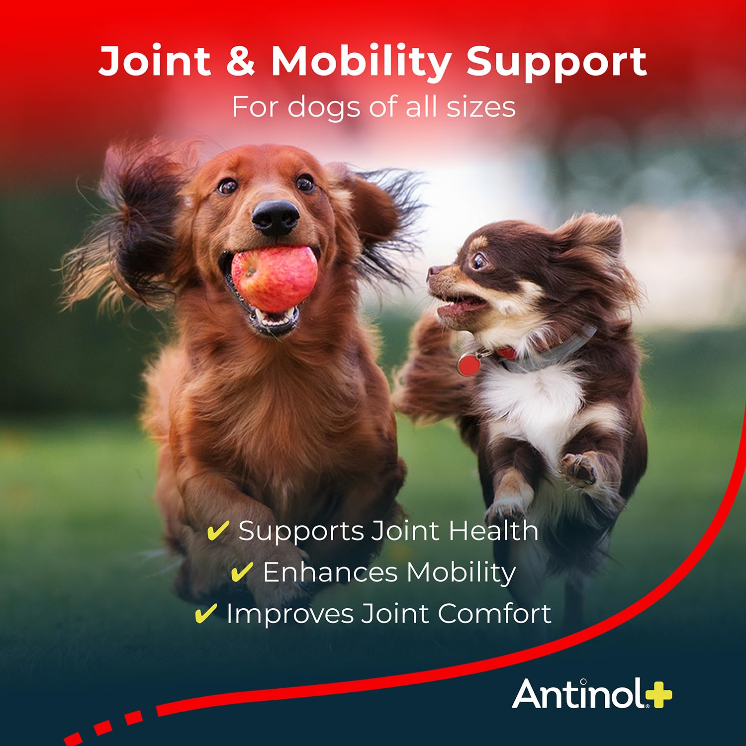 Antinol Plus: etiqueta clara con información de uso para el cuidado articular canino.