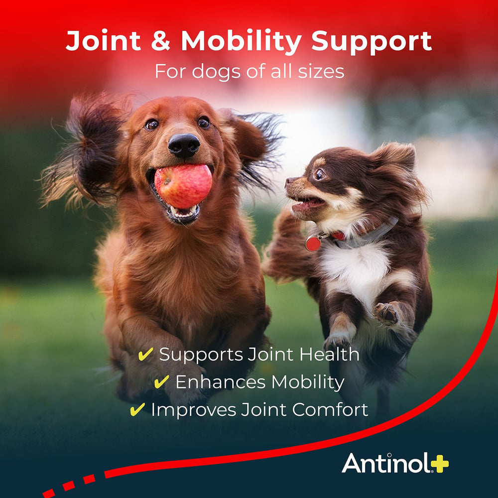 Antinol Plus: etiqueta clara con información de uso para el cuidado articular canino.