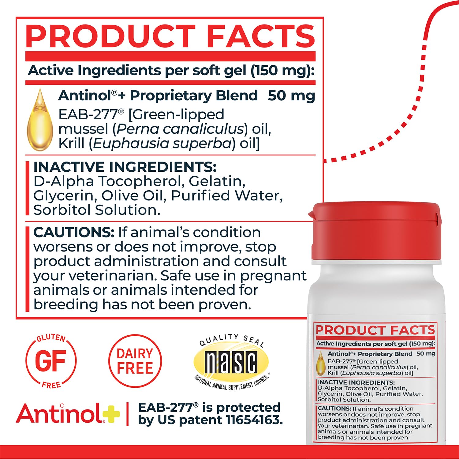 Antinol Plus: primer plano de los ingredientes clave, mejillón verde y krill.