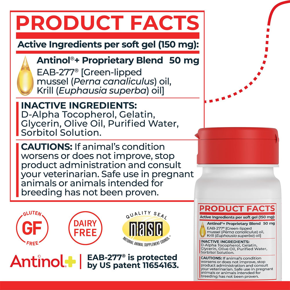 Antinol Plus: primer plano de los ingredientes clave, mejillón verde y krill.