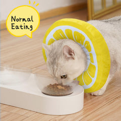 ANWA collar cono gato diseño adorable, mejora estética y ánimo.