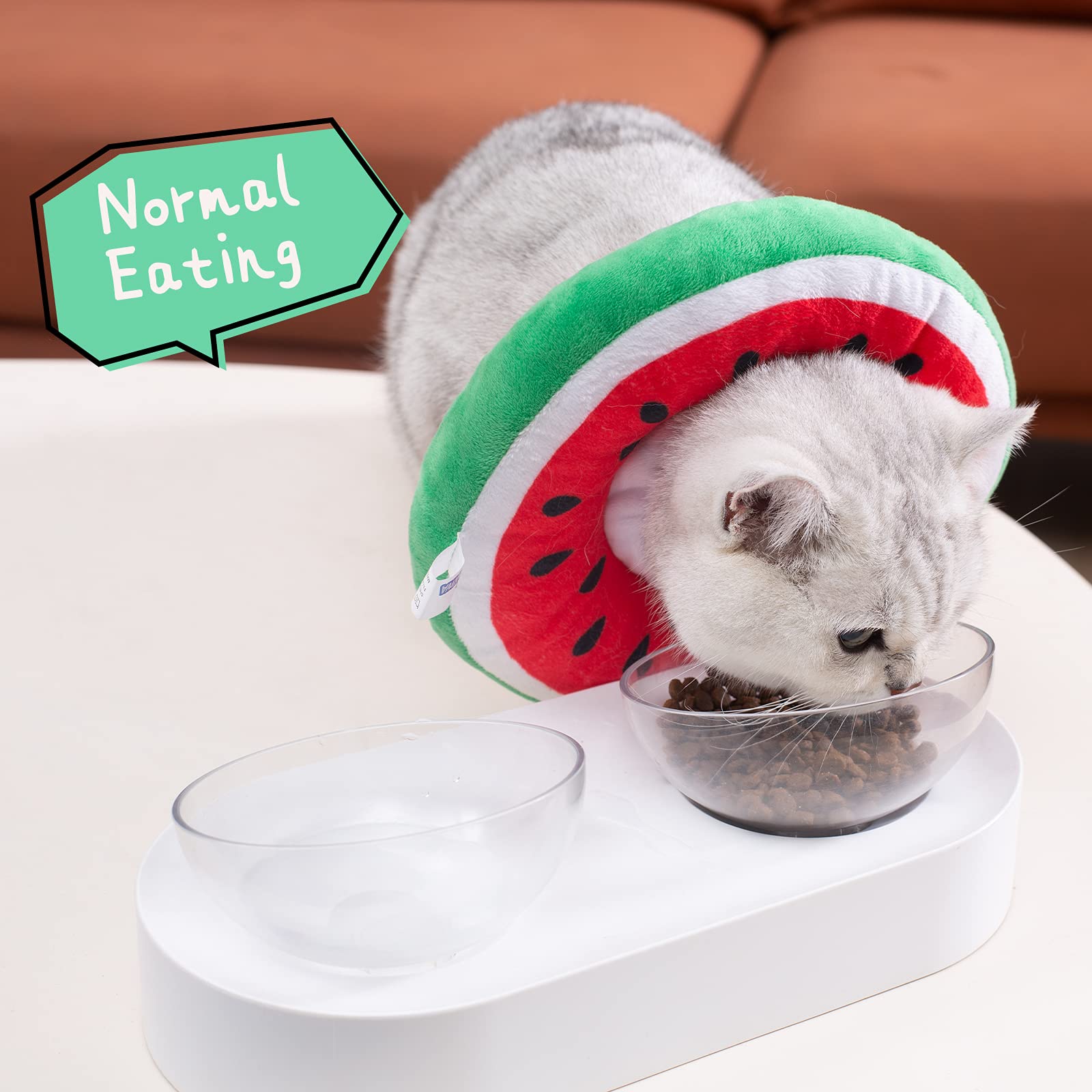 Collar cono ANWA para gato; visión no bloqueada para comer y jugar.