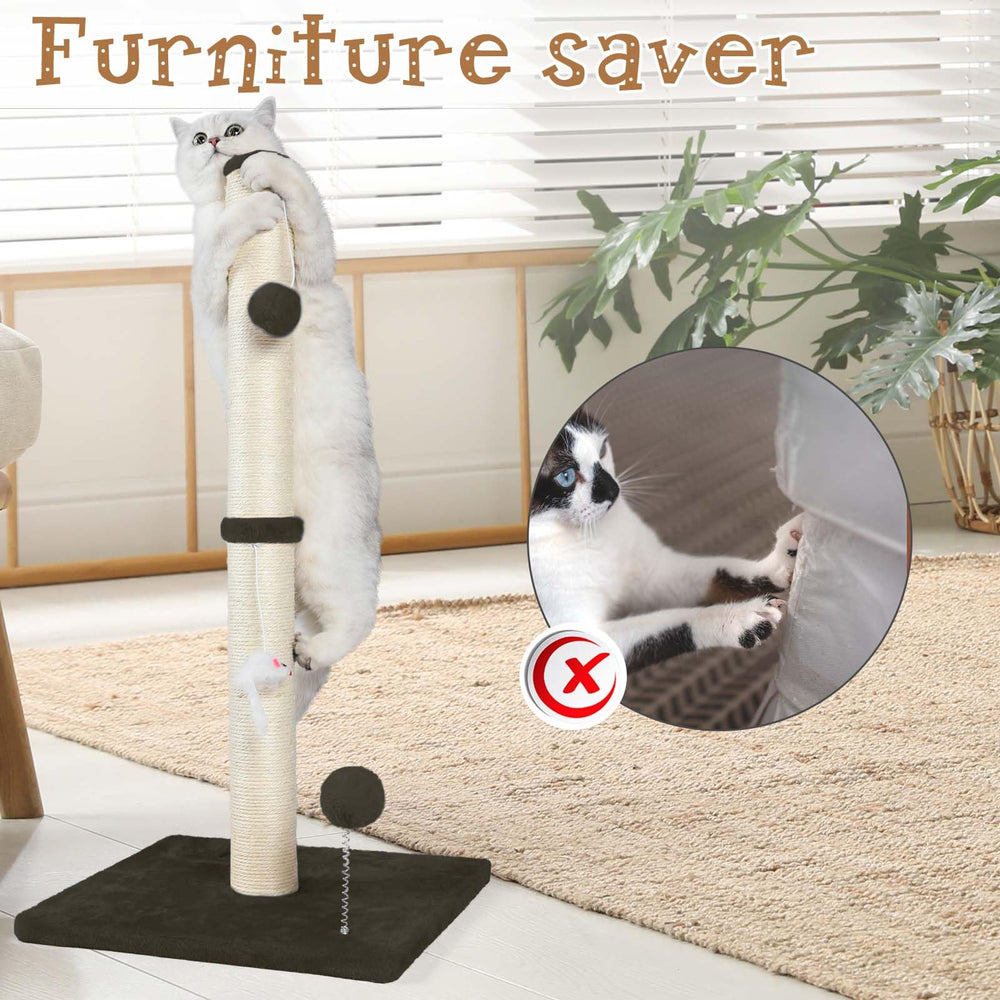 ANWA uso diario en interiores, protege muebles y mantiene activo al gato.