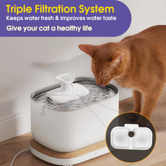 AnyEnjoy filtro-carbon-activado-coco-gato: mejora el sabor del agua para beber.