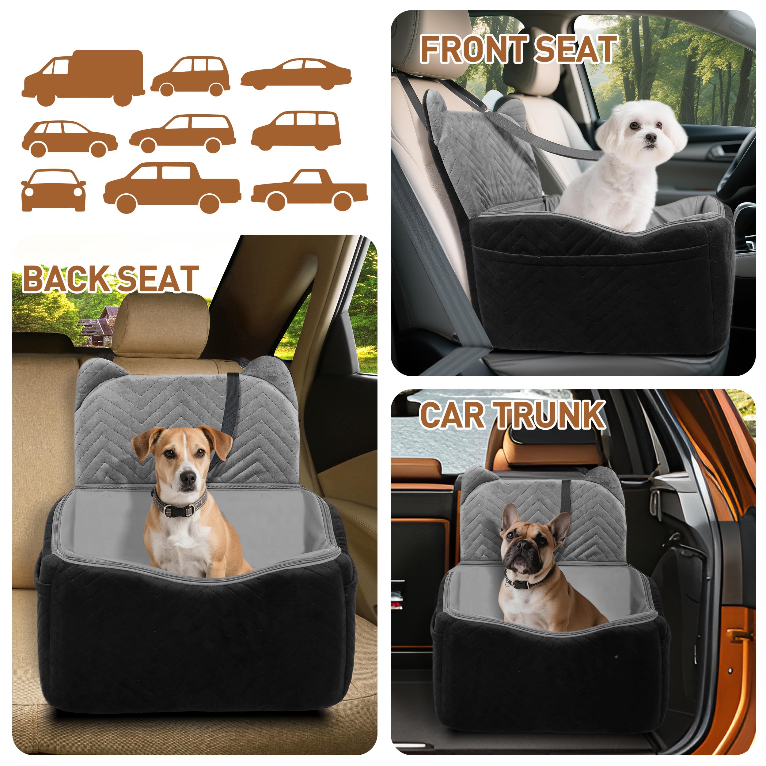 Anywish asiento perro: base elevada de 4 pulgadas para mejor visión