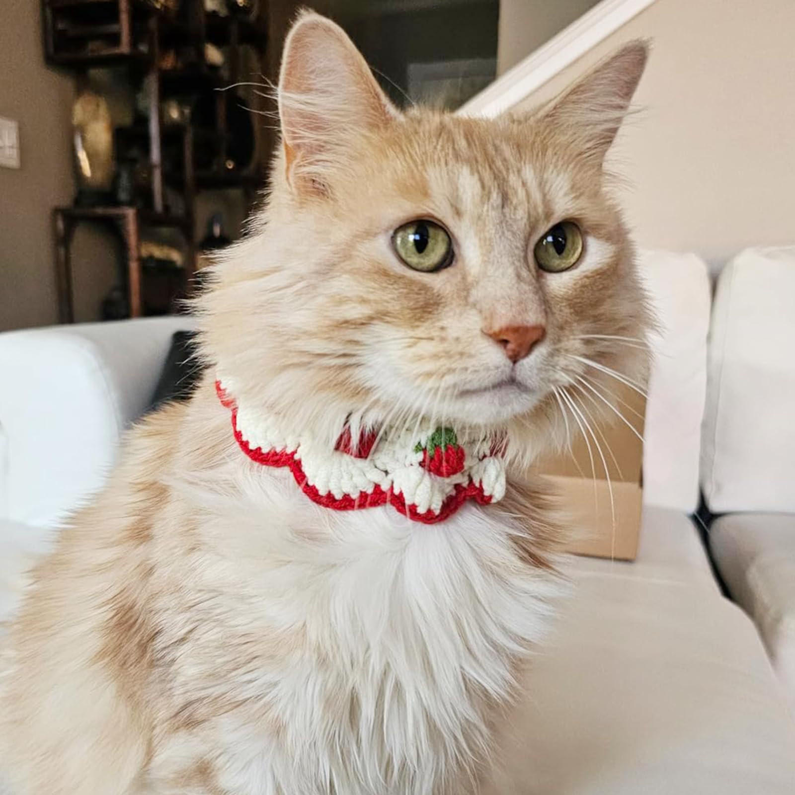 Estampado de fresa con lazo a cuadros para momentos adorables.