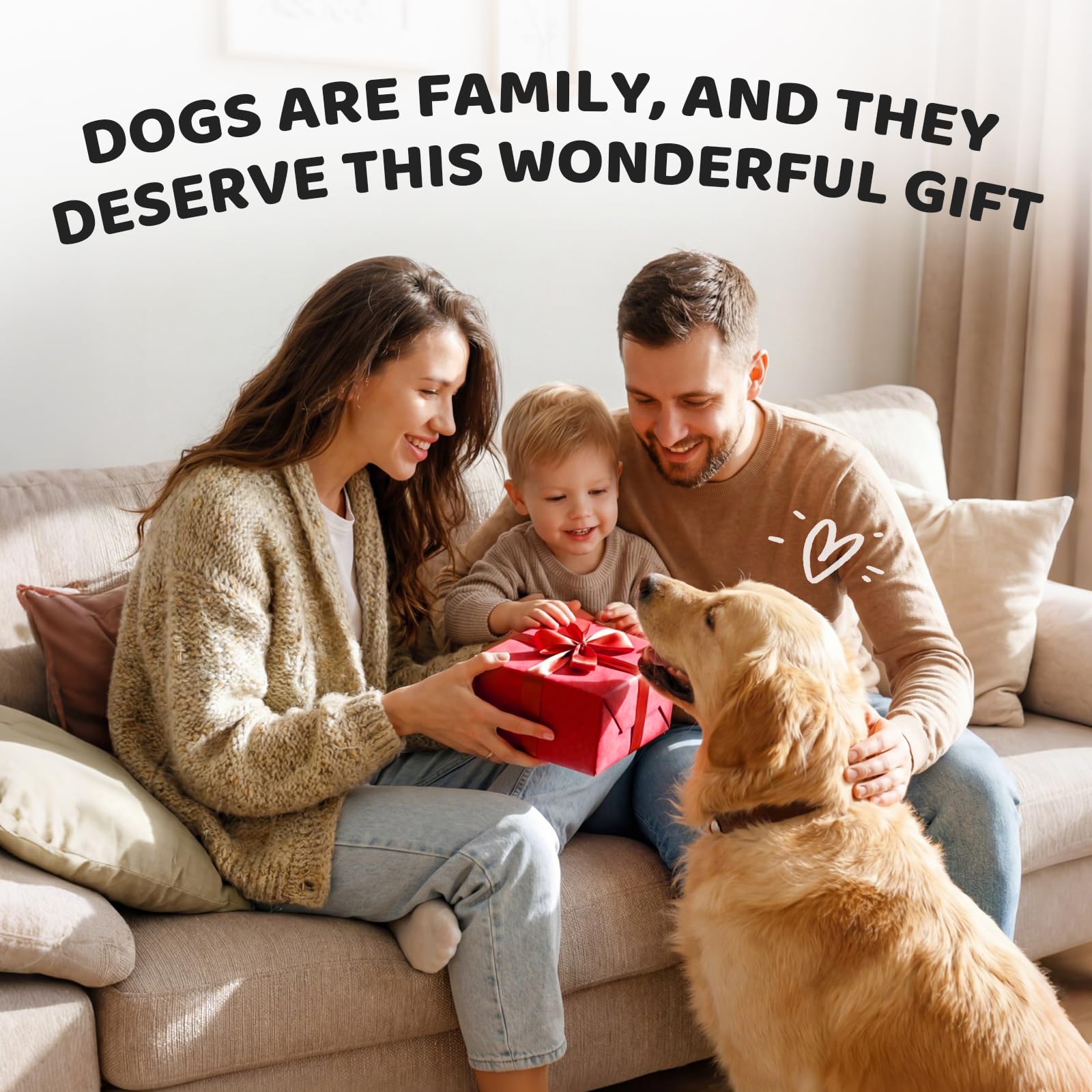 Diamètre 3,5 pouces Apasiri, convient pour chiens de taille moyenne à grande.