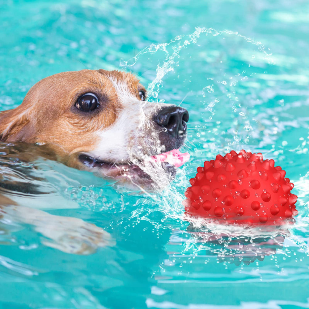Apasiri bola de 3,5 pulgadas para perros medianos y grandes.