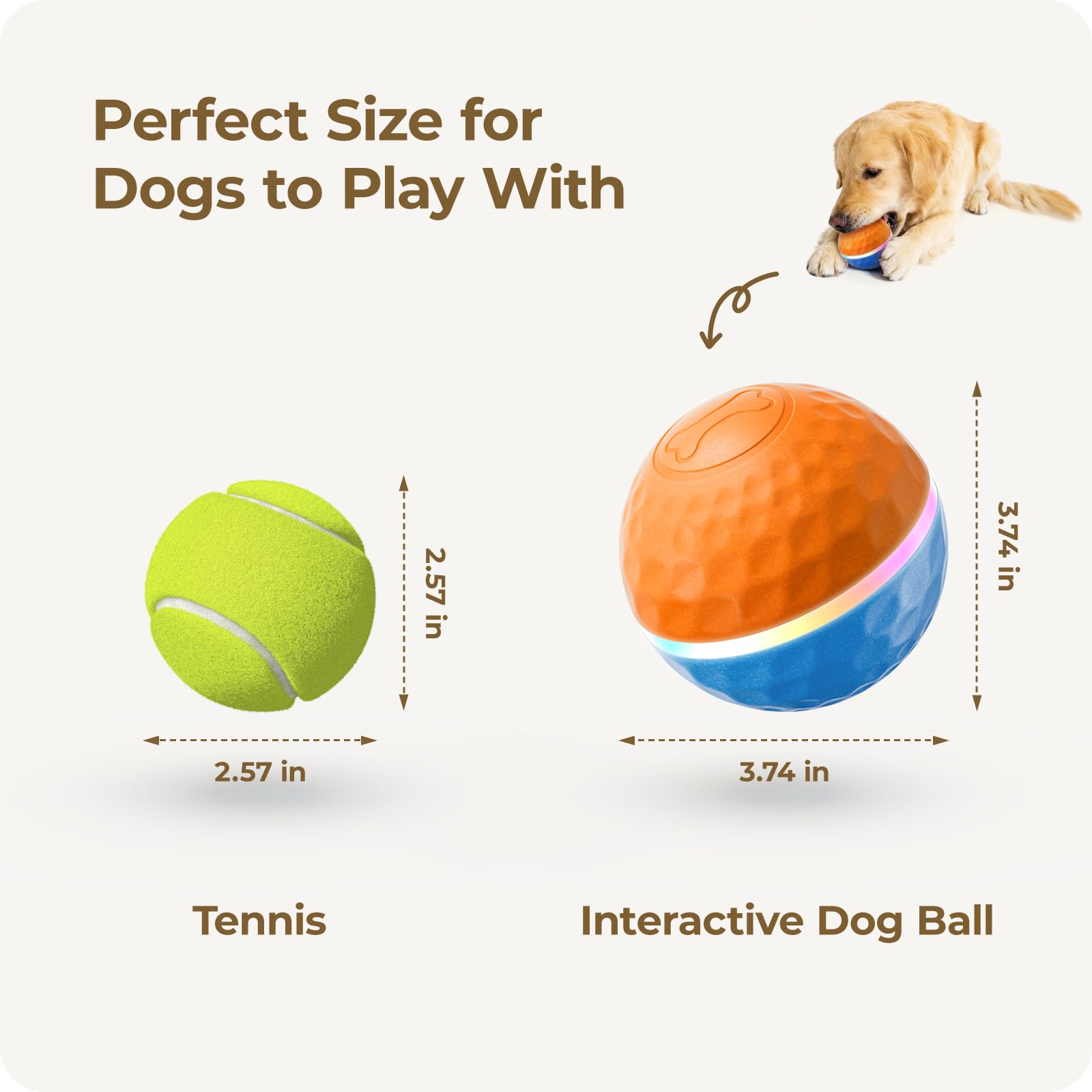 Apasiri Duraspin: tamaño de 9,5 cm apto para perros grandes y pequeños.