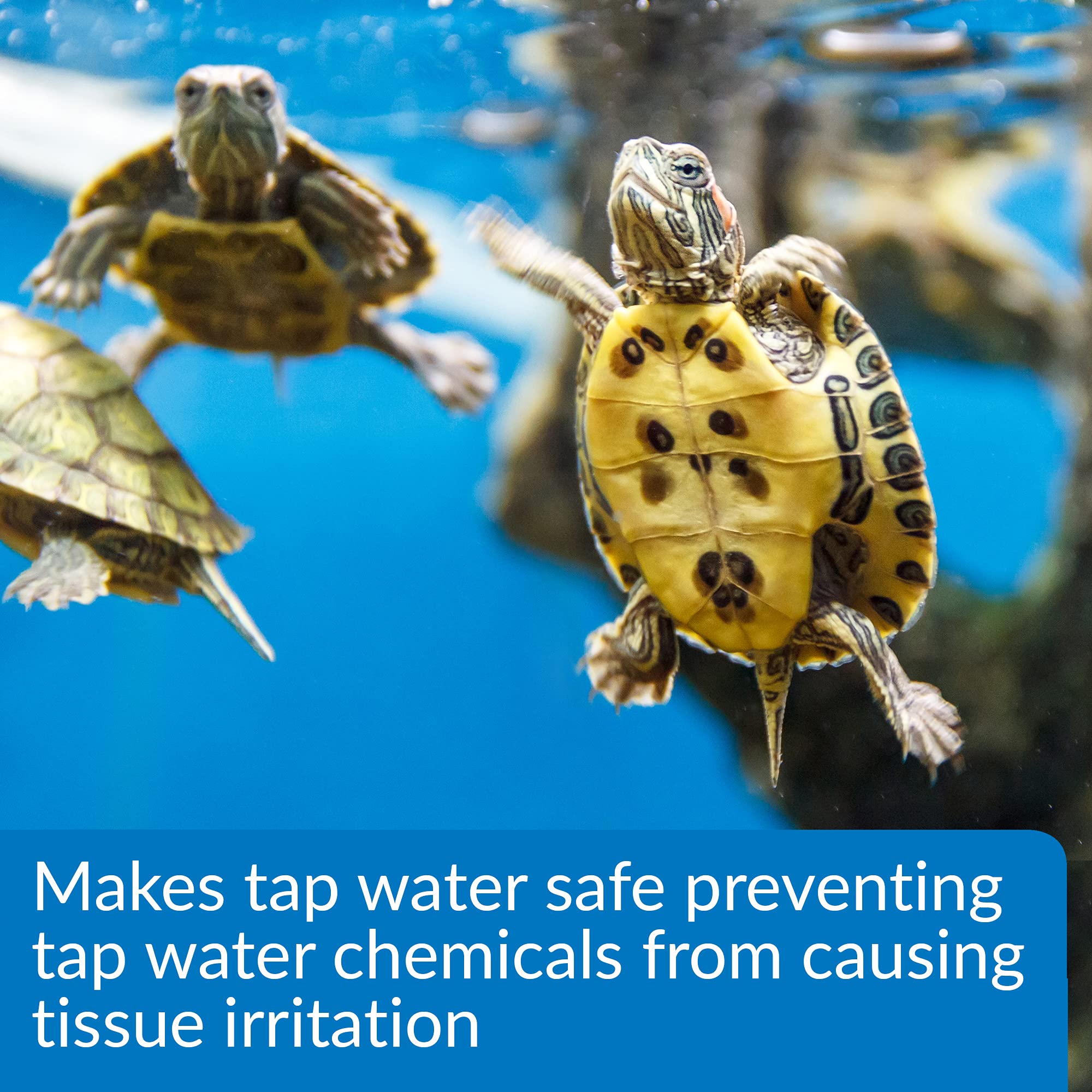 API Acondicionador de Agua para Tortugas: dosis para tratar hasta 474 galones.