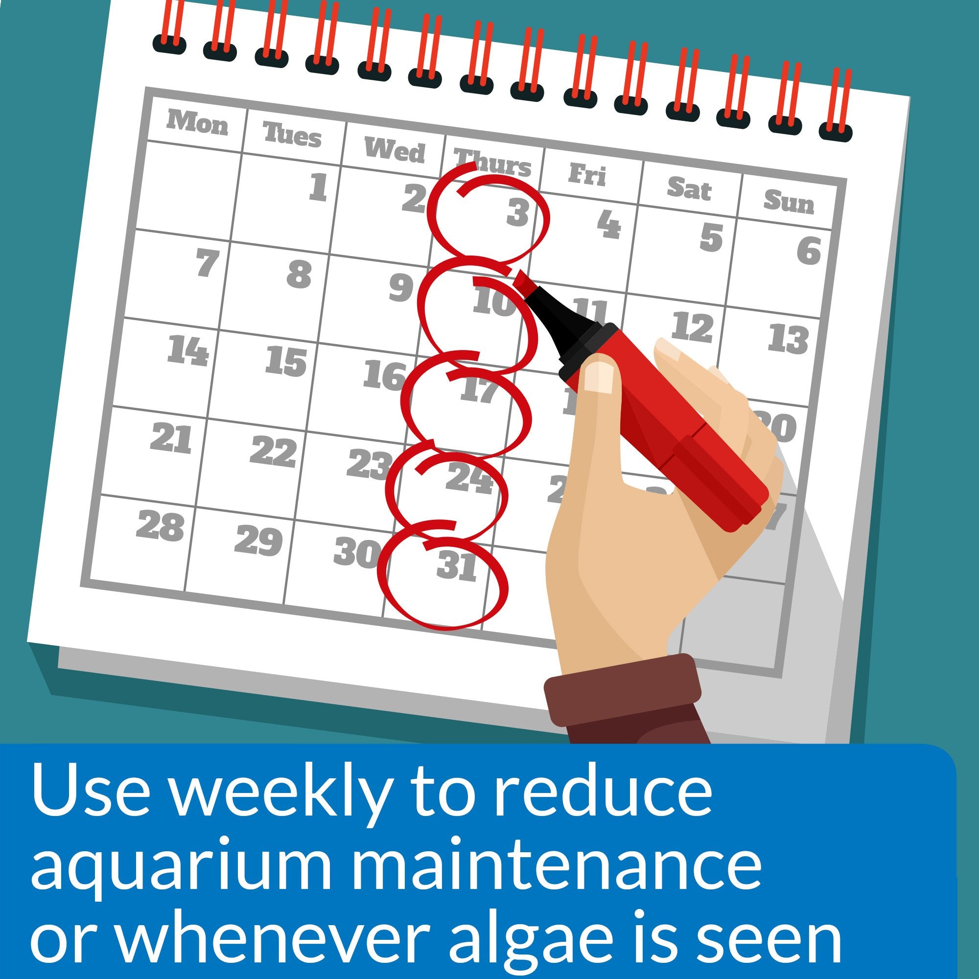 API ALGAEFIX control de algas en vidrio del acuario para un acuario limpio.