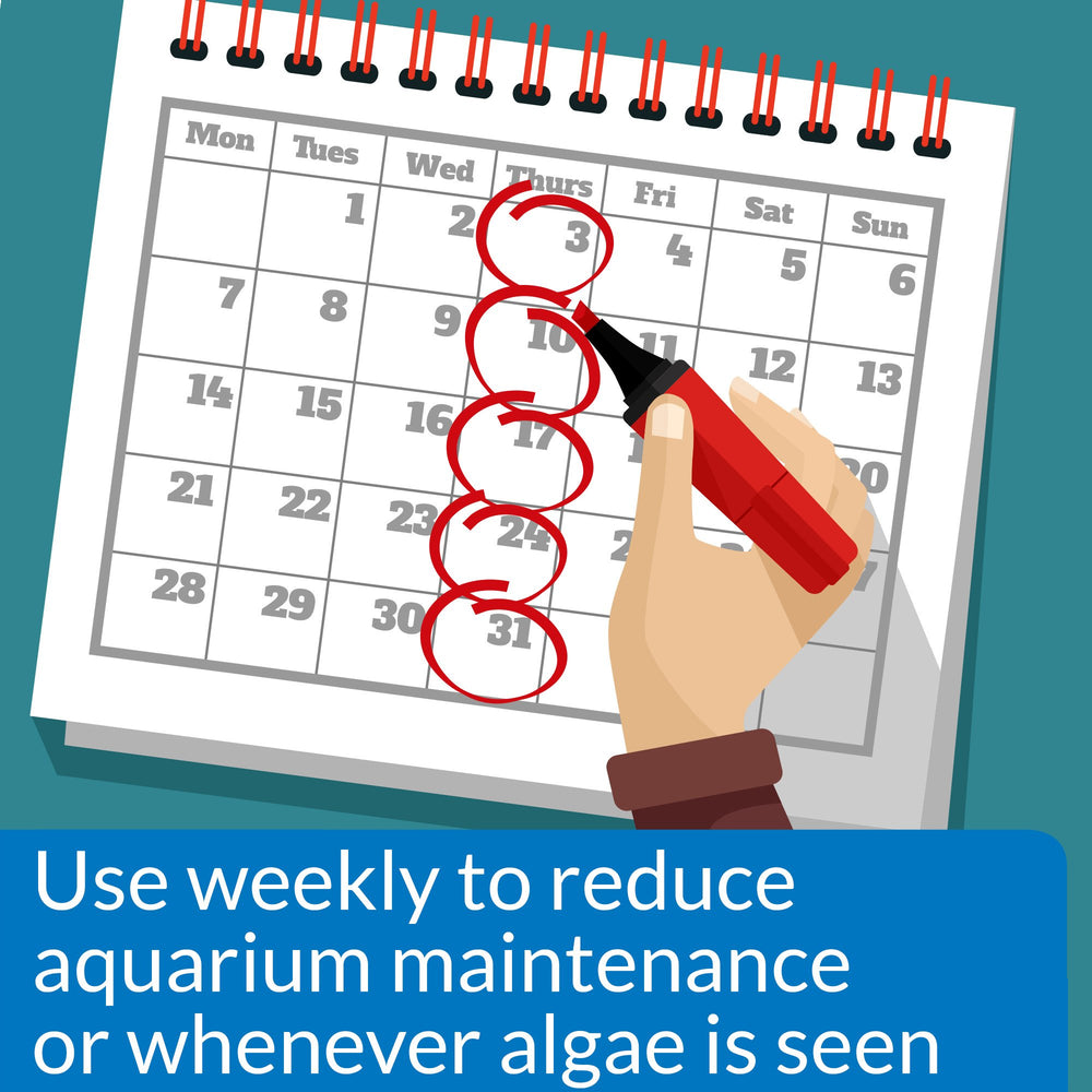 API ALGAEFIX control de algas en vidrio del acuario para un acuario limpio.