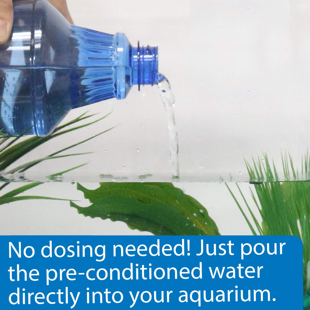 API Betta Water verter en acuario Betta para inicio rápido.
