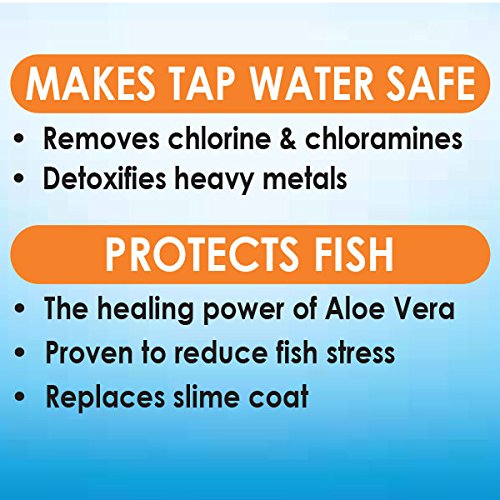 Acuario comunitario con peces tropicales y plantas sanas