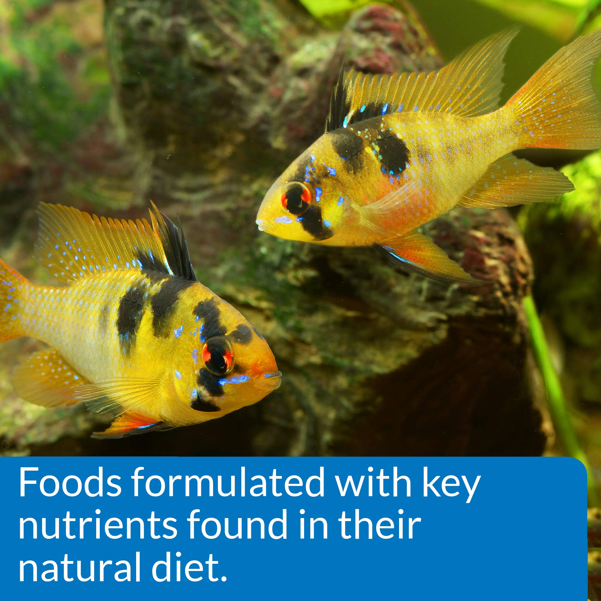 API CICHLID PELLETS contribuye a agua más limpia y menos desechos