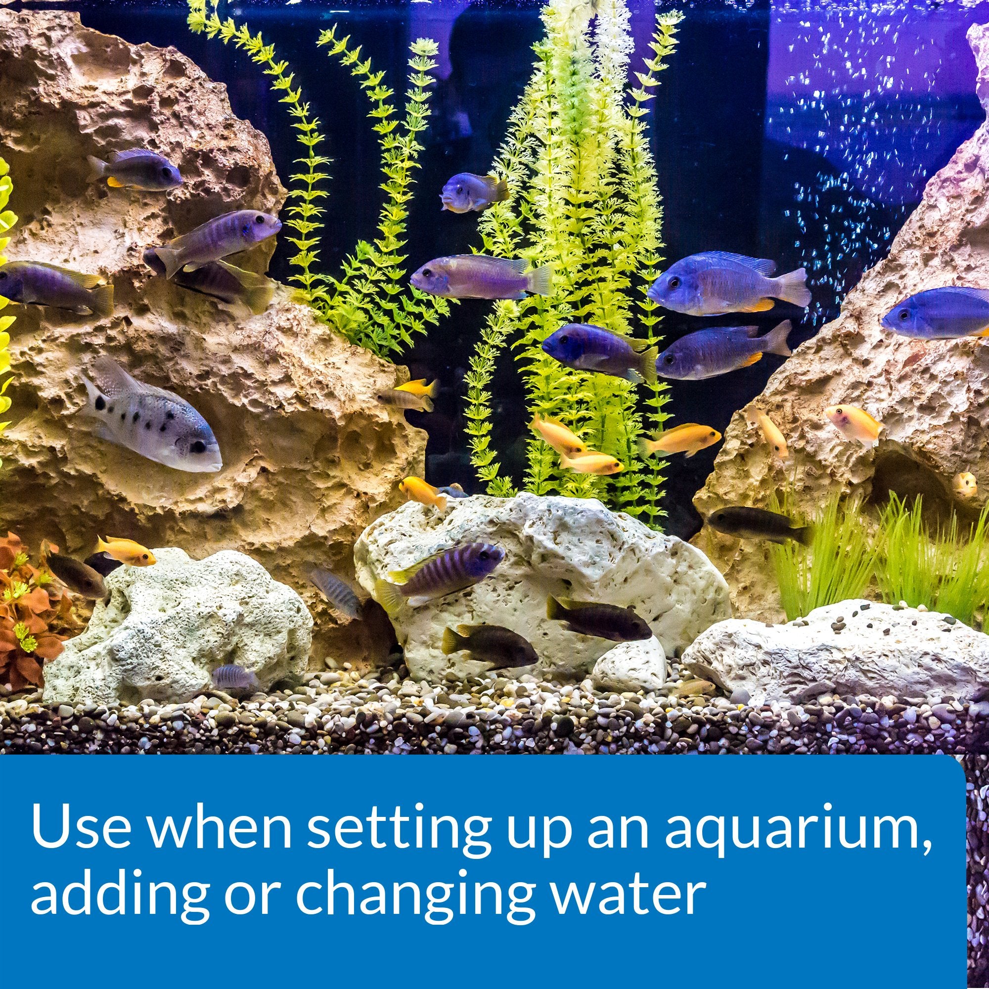 API Acondicionador de Agua para Acuario, gotero preciso para dosis seguras.