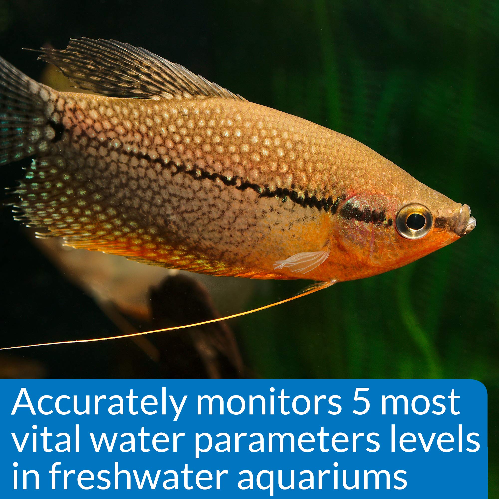 API Freshwater Master Test Kit resultados de prueba claros y comparables