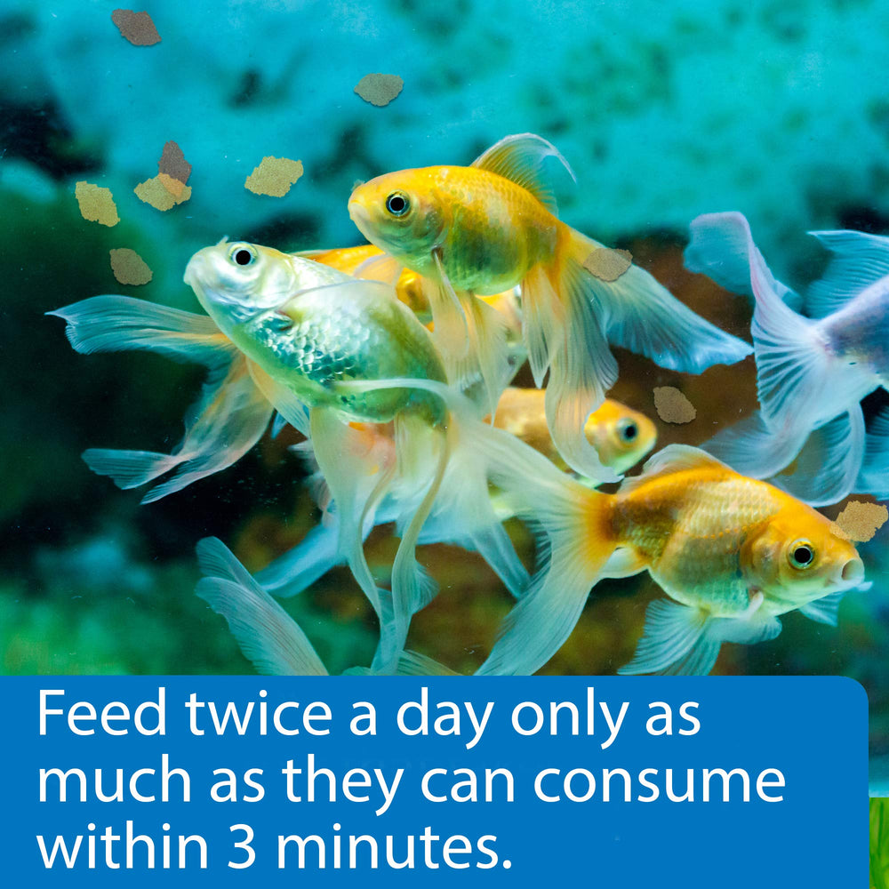 API GOLDFISH FLAKES menor amoníaco, agua limpia para acuario