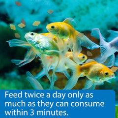 API GOLDFISH FLAKES menor amoníaco, agua limpia para acuario