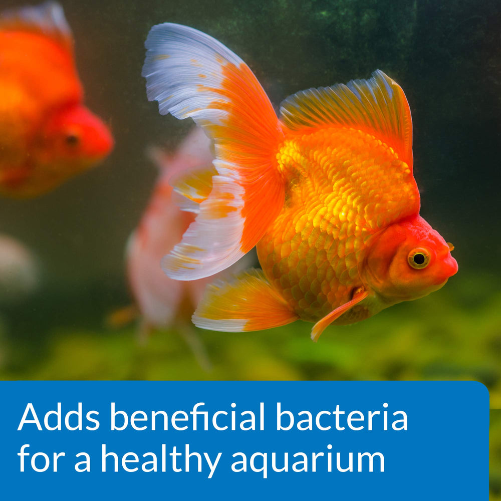 API GOLDFISH PROTECT: ideal al iniciar un acuario para peces dorados.