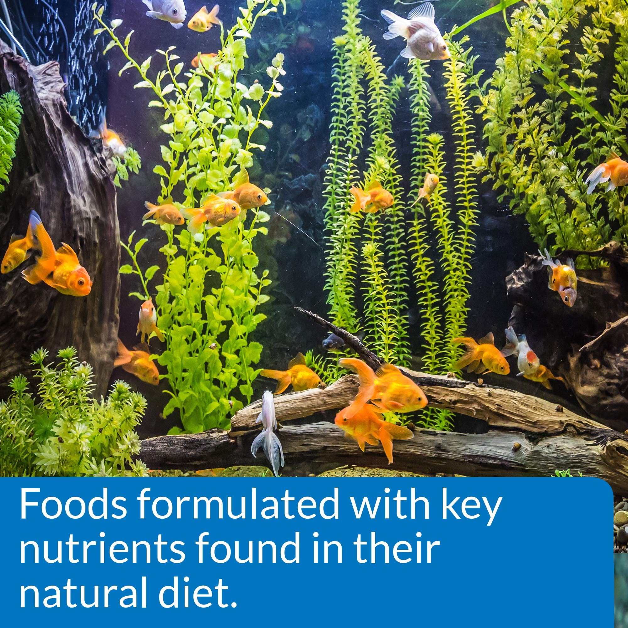 API Granulos Dorados: carotenoides y espirulina para colores vivos.