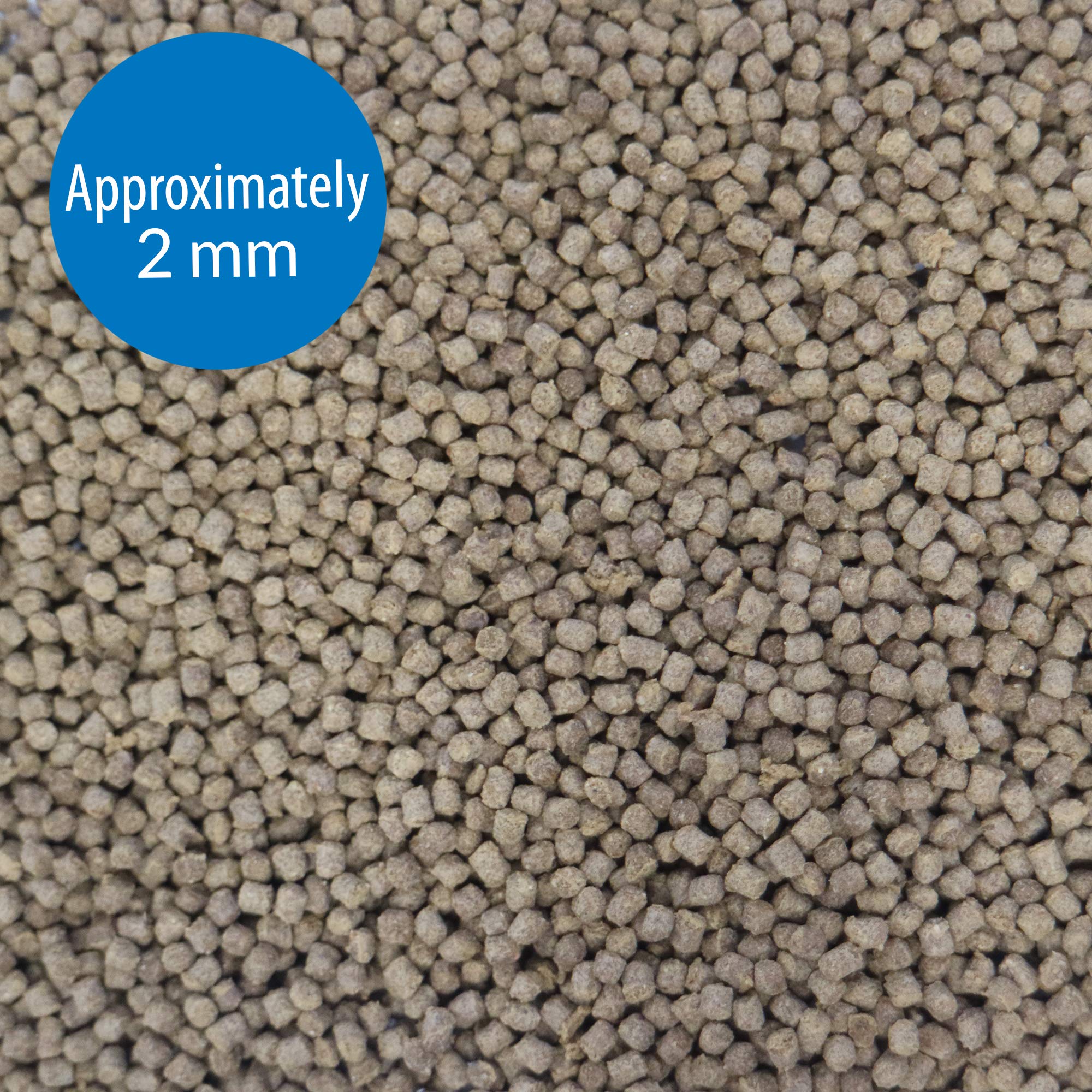 API Granulos Dorados: granulos digestibles para agua clara.