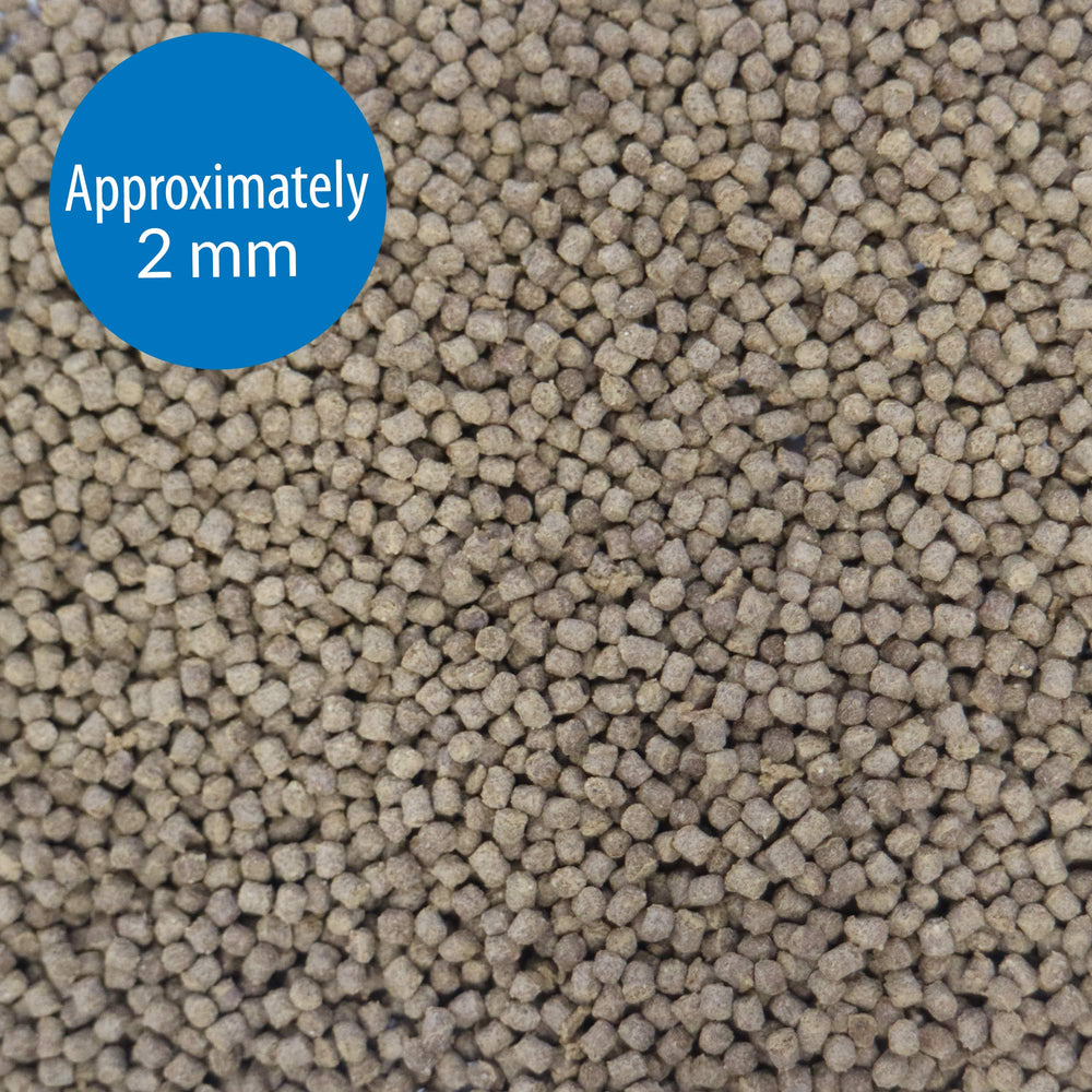 API Granulos Dorados: granulos digestibles para agua clara.