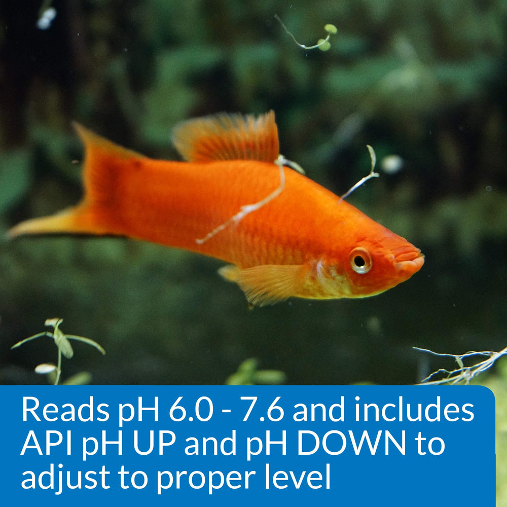 Lectura de pH de 6.0 a 7.6 para acuarios de agua dulce