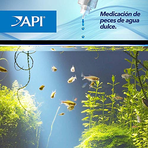 API LIQUID SUPER ICK CURE: presentado por API con respaldo de marca