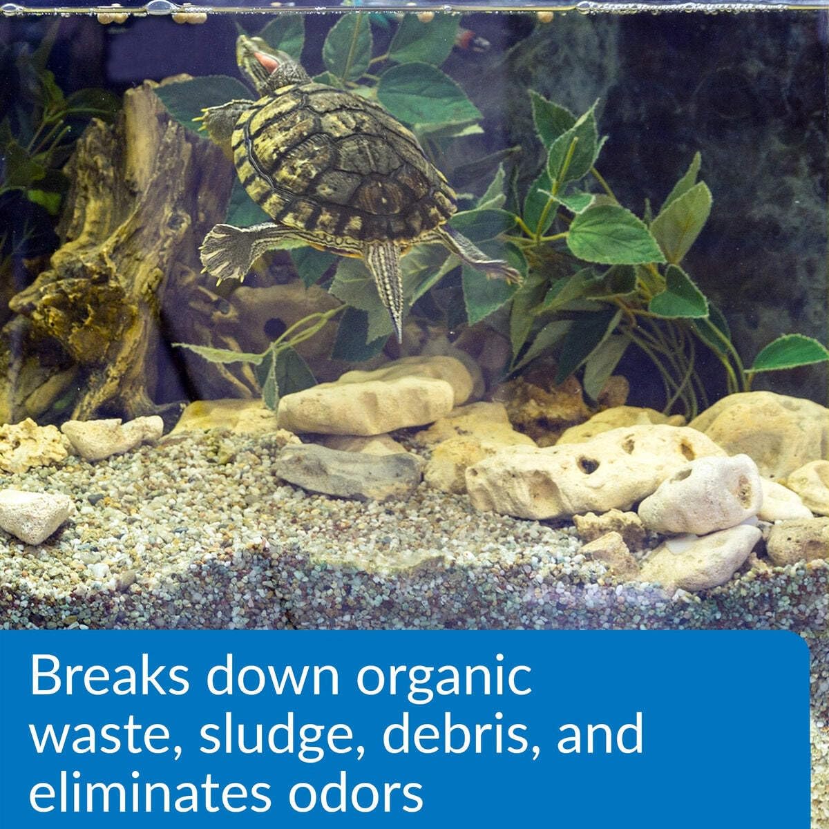 API Mantenimiento de acuario tortuga semanal para reducir residuos.